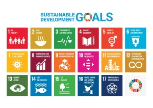 Sustainable Development Goals in Malaysia and how OSHE practitioners can play their part