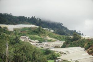 CAMERON HIGHLANDS AIR 1024x682 1