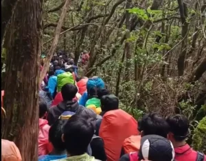 Procedure for Document and Record Control 12 gunung jem