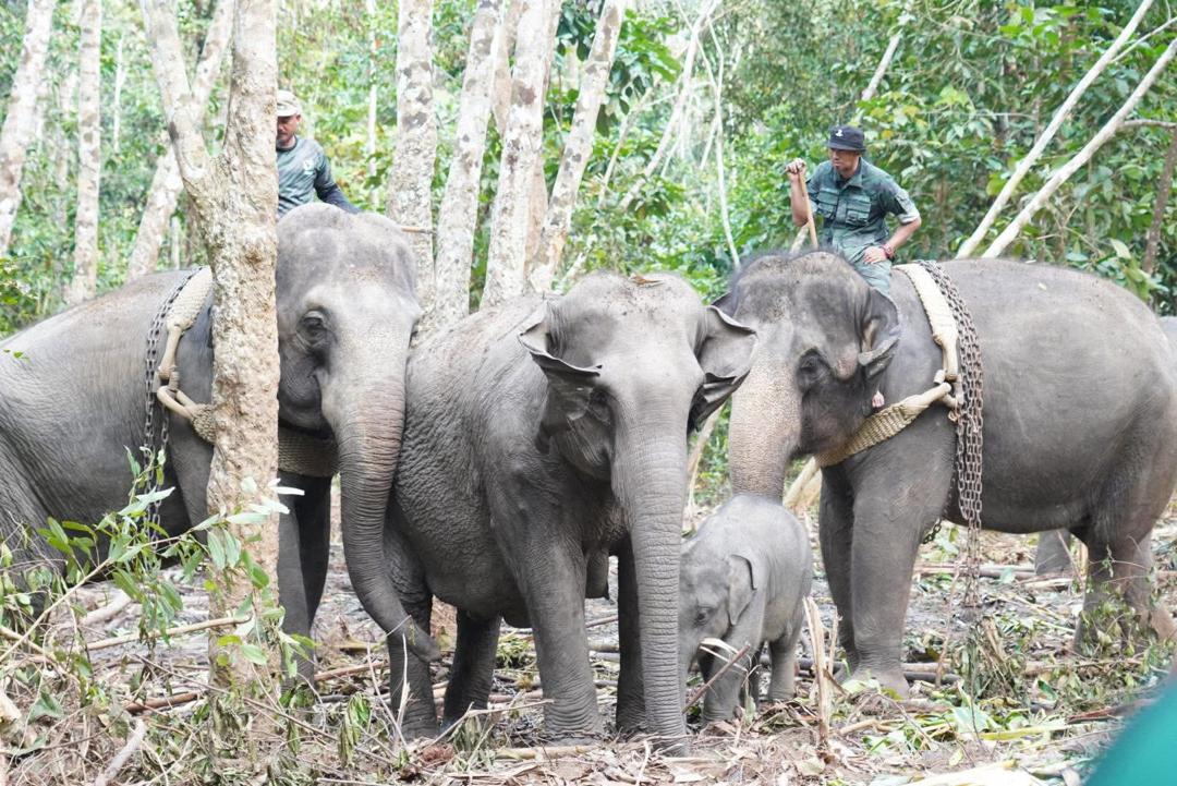 Whatsapp image 2025 07 23 at 1. 16. 34 pm