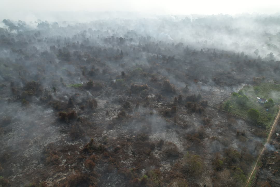 Whatsapp image 2025 07 31 at 4. 41. 30 pm