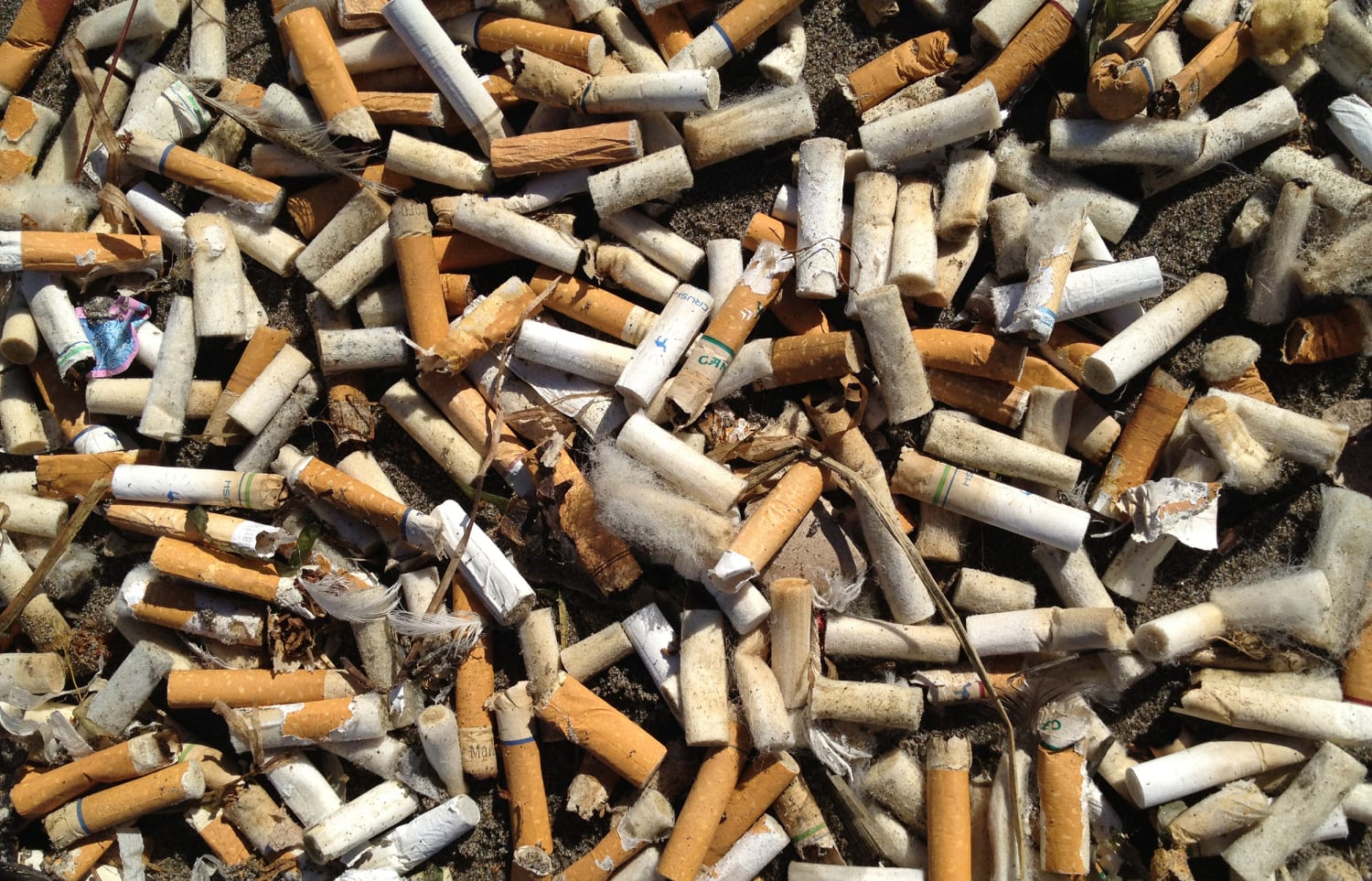 180824 oregon cigarette cleanup al 1646