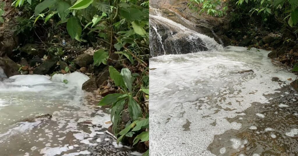 Whatsapp image 2025 11 17 at 3. 47. 45 pm 1024x538 1