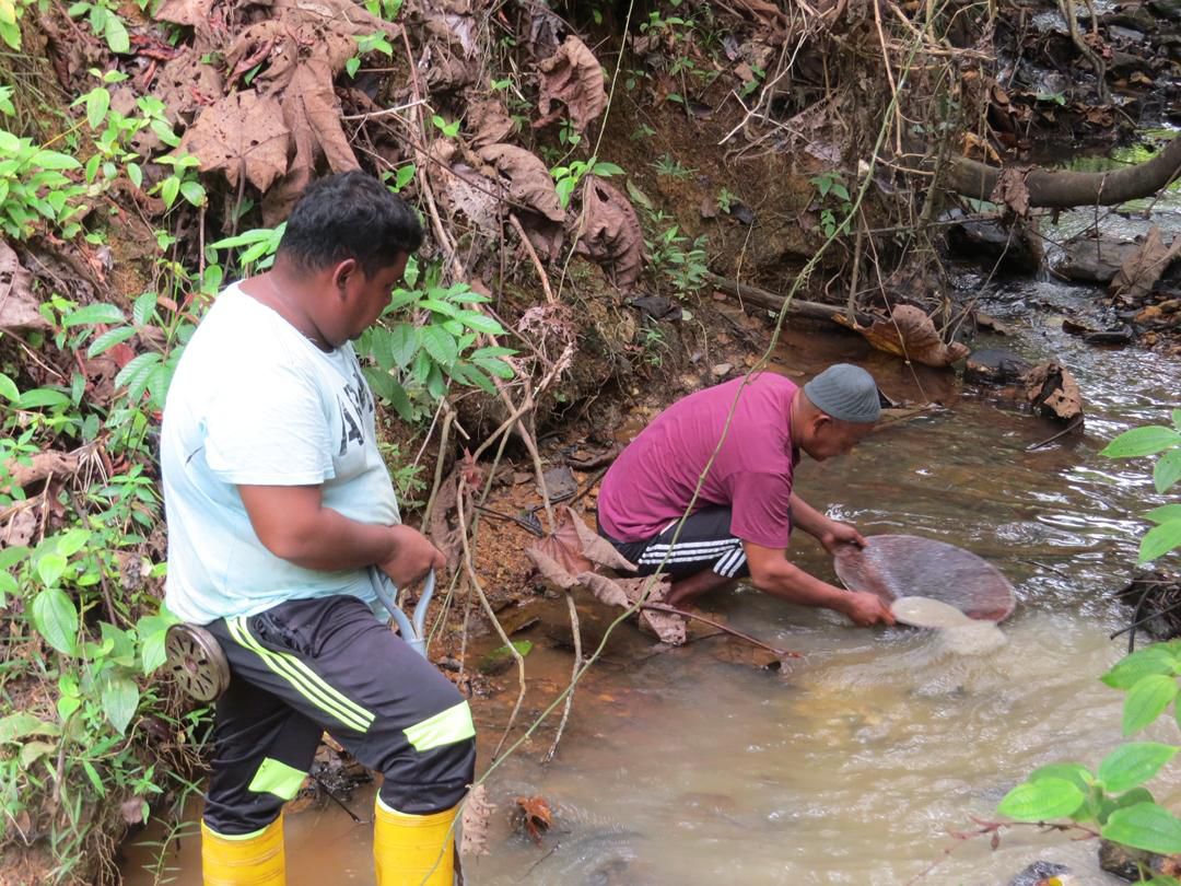 Whatsapp image 2025 11 19 at 3. 45. 41 pm