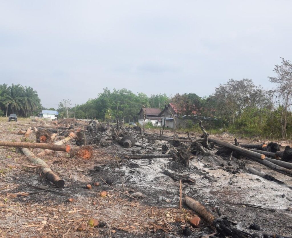 Whatsapp image 2026 03 16 at 16. 14. 26 1024x832 1