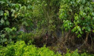 2cbfe604 b502 4fd3 9baf 0ad237f1c9bf