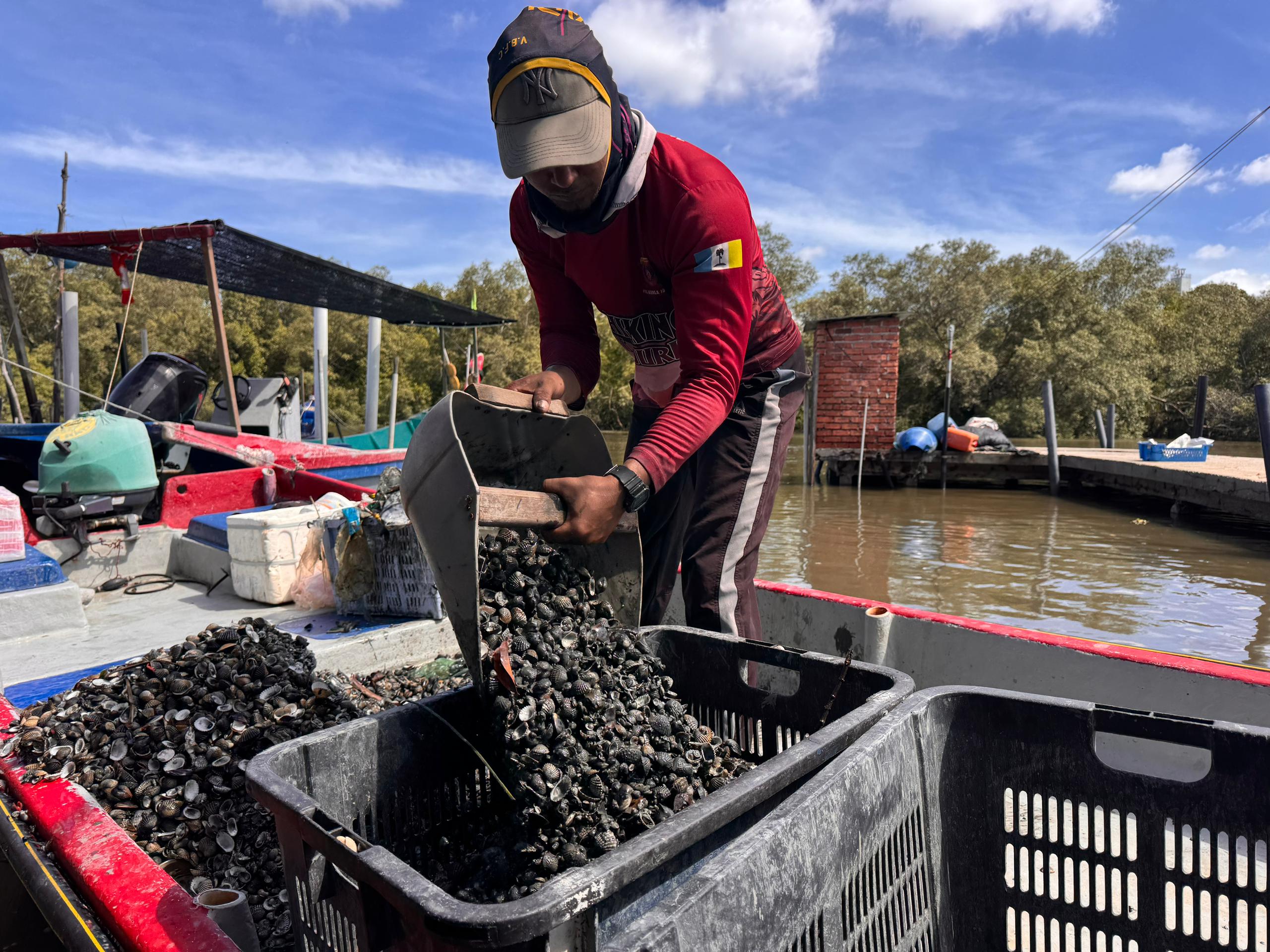 Kerang kampung kuala juru