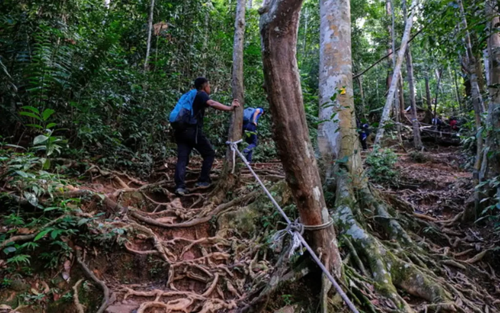 82eb6d3d mendaki hiking bernama 171124 1
