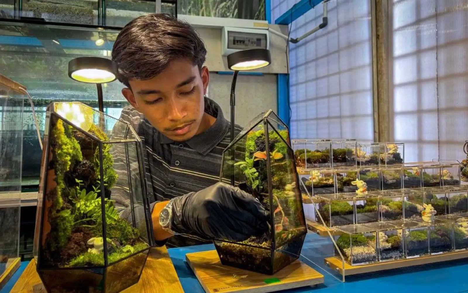 Terrariums