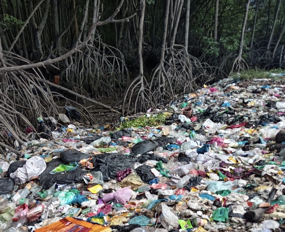 Hutan paya bakau