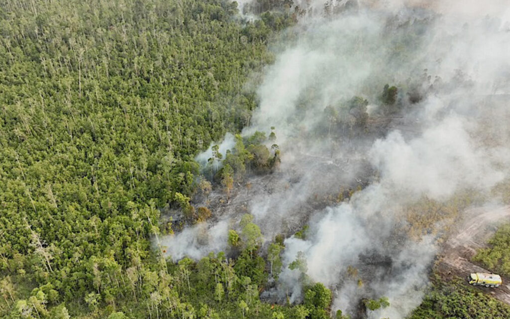 A34ca7fb 186e 4089 8713 adb3b20f06e5 fire forest kalimantan epa 280826