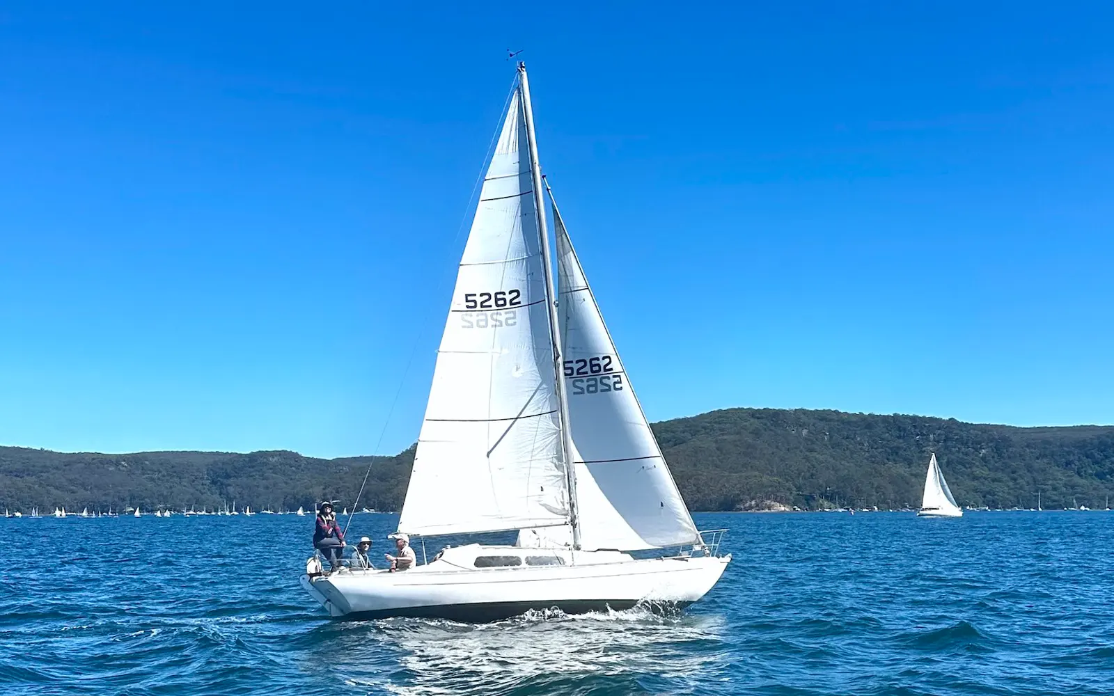 All Paws On Deck: Gary’s Epic Sea Voyage 3 Aec3a70a 7973 4e54 97a9 db15539960eb boat sea lifestyle emel pic 070826 1