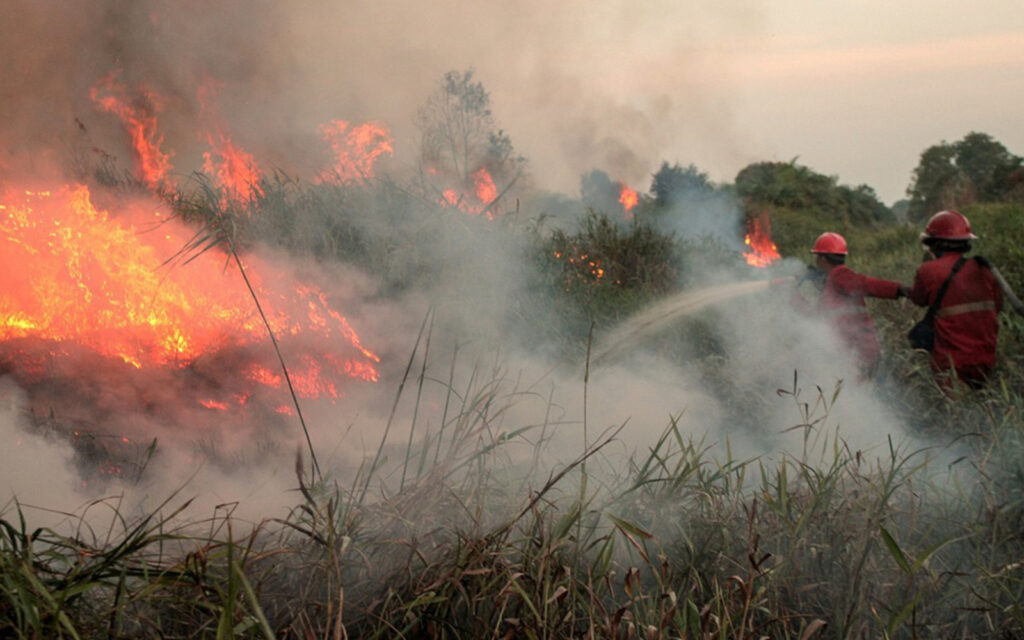 Dc9b0056 2c70 42ec 81c5 60ecb5668b88 indonesia forest fire epa 230826