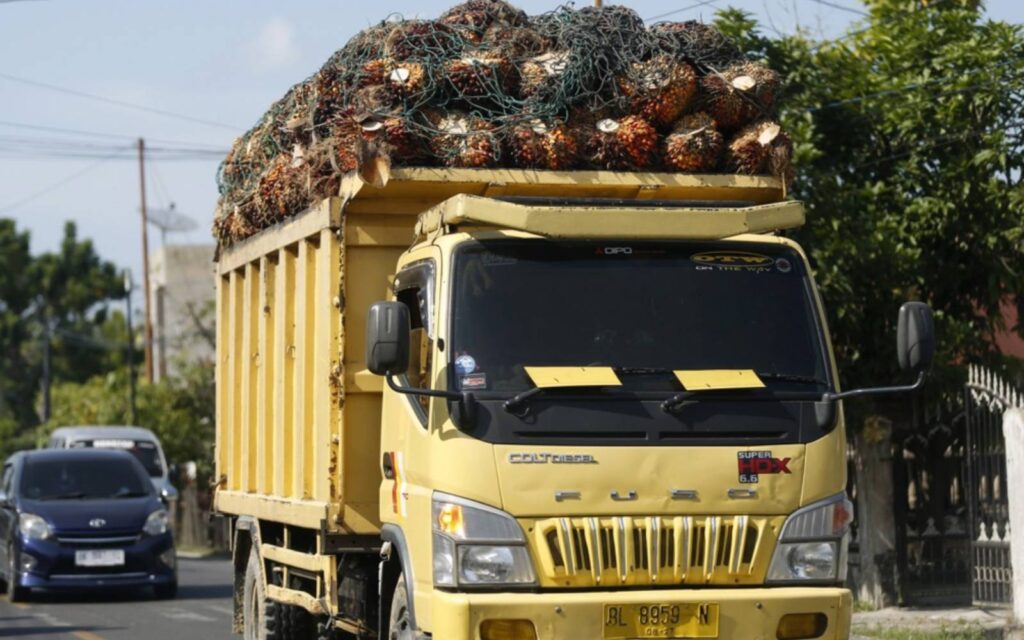 97aaa5c2 palm oil