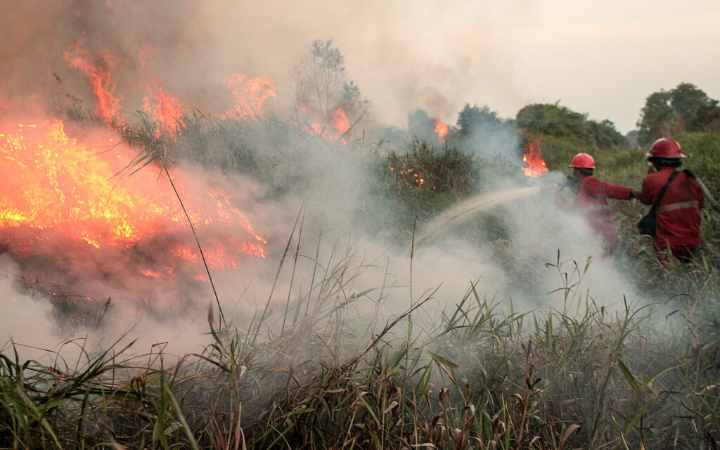 992b4b64 dbef 45da 950a 37228e1690b1 indonesia fire epa images pic 040926 1